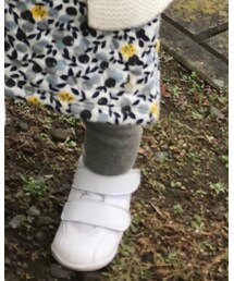 Birthday | タイツ/ストッキング