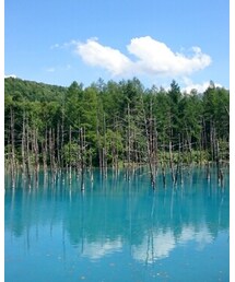 青の池 | その他