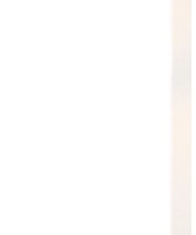 pink adobe | ショルダーバッグ