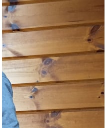 Bonpoint | Tシャツ/カットソー