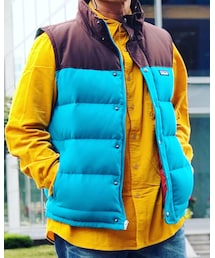 patagonia | ダウンベスト