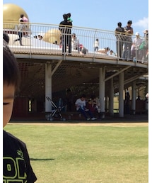 STORIES | Tシャツ/カットソー