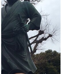 西郷どん | その他