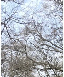 軽井沢 | その他