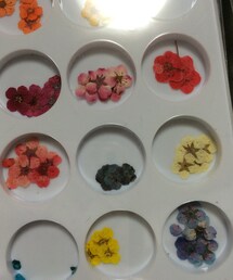 押し花セット(ハンドケア/ハンドクリーム)