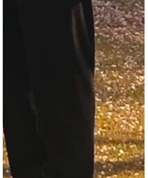 UNIQLO | スラックス