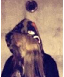 A BATHING APE | ナイロンジャケット