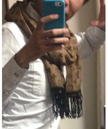 LOUIS VUITTON | ストール/ショール