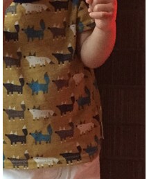 しまむら | Tシャツ/カットソー