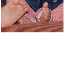 Birthday | ワンピース