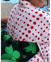 no brand | クローバー🍀に、てんとう虫🐞がいる。(和装小物)