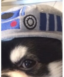 スターウォーズ | その他アウター