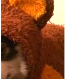 森のくまさん | つなぎ/オールインワン