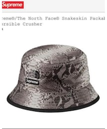 Supreme × THE NORTH FACE | ハット