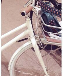 STEVE MADDEN | ブーツ