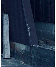 UNIQLO | シャツ/ブラウス