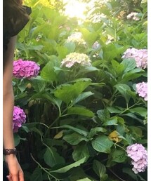 UNIQLO | チューブトップ