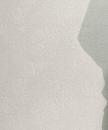 UNIQLO | シャツ/ブラウス