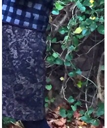 Calvin Klein | ドレス