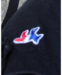 Maison Kitsune | Tシャツ/カットソー