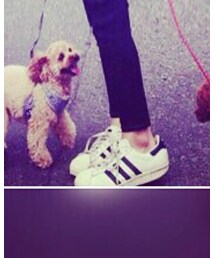 adidas | スニーカー