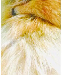 no brand | マフラー