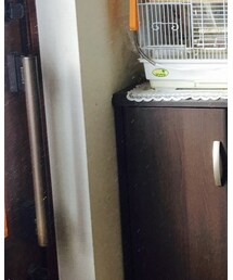 OPENING CEREMONY | バックパック/リュック