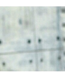 MISBHV | トップス