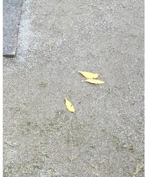 旦那さんの実家近くの公園 | その他