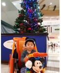 クリスマスツリーと🎄の「その他(その他)」