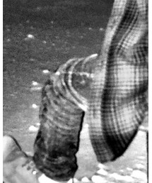 LEGENDA | デニムパンツ