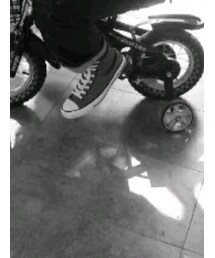 CONVERSE | スニーカー