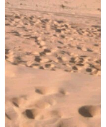 QUEEN SHOP | シャツ/ブラウス