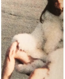 LOUIS VUITTON | ジャケット/アウター