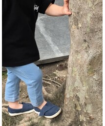 STUSSY | Tシャツ/カットソー