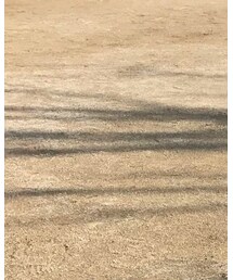 patagonia | その他アウター