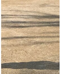 UNIQLO | その他パンツ