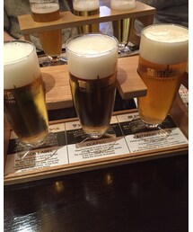 サッポロビール | グラス/マグカップ/タンブラー