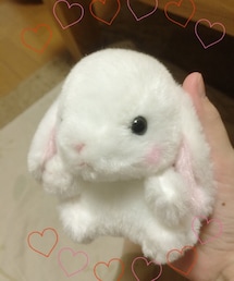 うさぎさん | UFOキャッチャーの戦利品♡(その他雑貨)