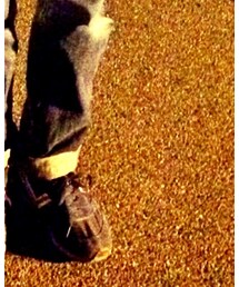 VANS | スニーカー