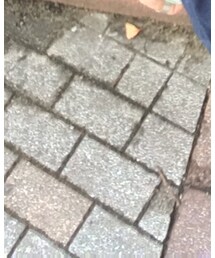 PUMA | スニーカー