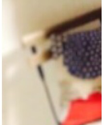 UNIQLO | ソックス/靴下