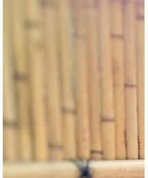 BACK NUMBER | シャツ/ブラウス