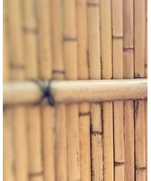 BACK NUMBER | ベスト