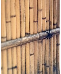 SPELLBOUND | デニムパンツ