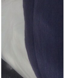 TOMMY HILFIGER | Tシャツ/カットソー