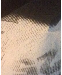 STUSSY | Tシャツ/カットソー