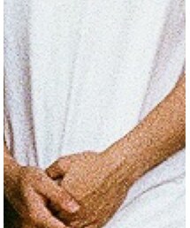 L.L.Bean | Tシャツ/カットソー