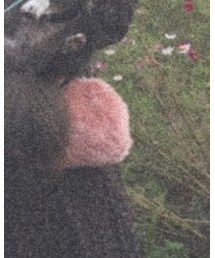 niko and... | ショルダーバッグ