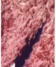 solov | その他アウター